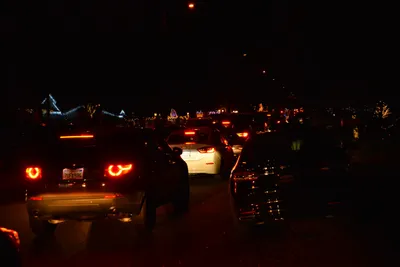 DSC_5765 (Large).JPG